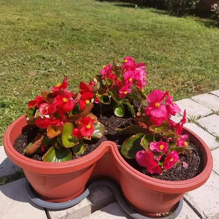 Star - Free Private Parking * Zadar