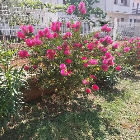 Star - Free Private Parking Apartmán *