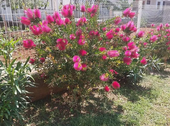 Star - Free Private Parking Lägenhet *